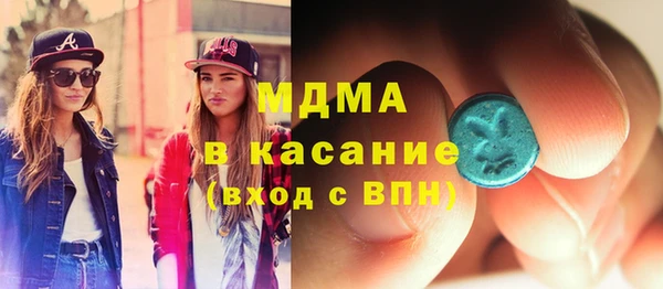 индика Гусь-Хрустальный