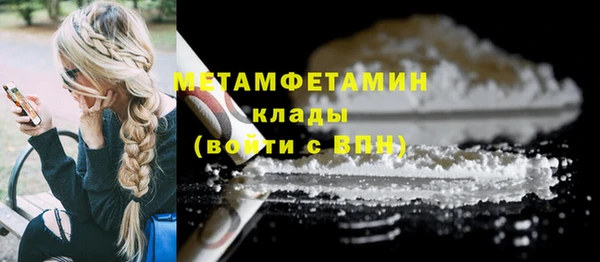 индика Гусь-Хрустальный