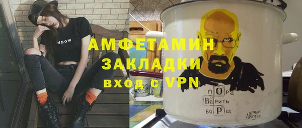шишки Гусев