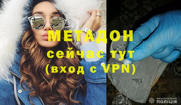 индика Гусь-Хрустальный