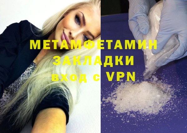 индика Гусь-Хрустальный