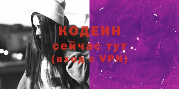 индика Гусь-Хрустальный