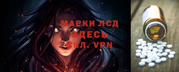 шишки Гусев
