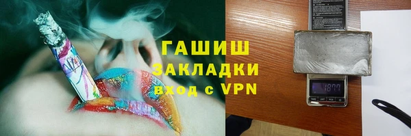индика Гусь-Хрустальный