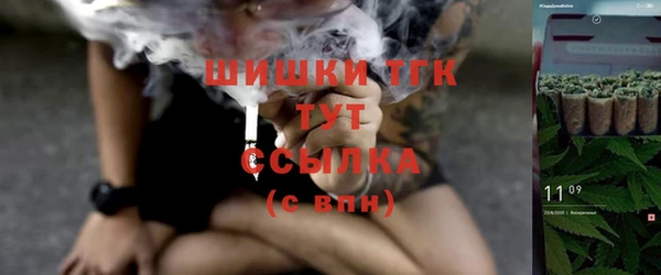 индика Гусь-Хрустальный
