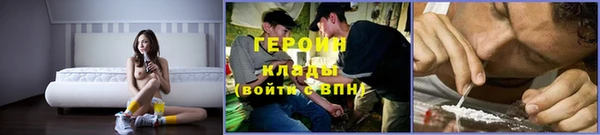 шишки Гусев