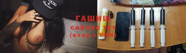 индика Гусь-Хрустальный