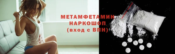 индика Гусь-Хрустальный