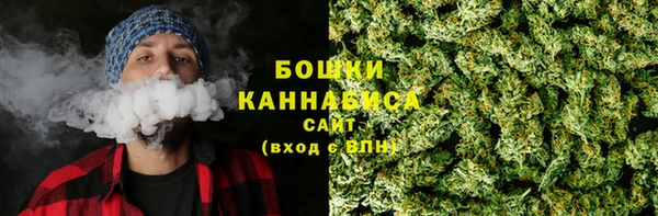 шишки Гусев