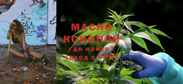 индика Гусь-Хрустальный