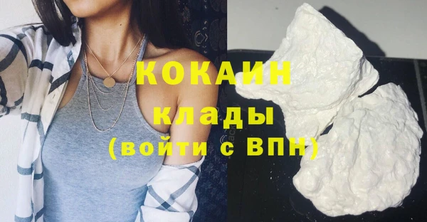 индика Гусь-Хрустальный