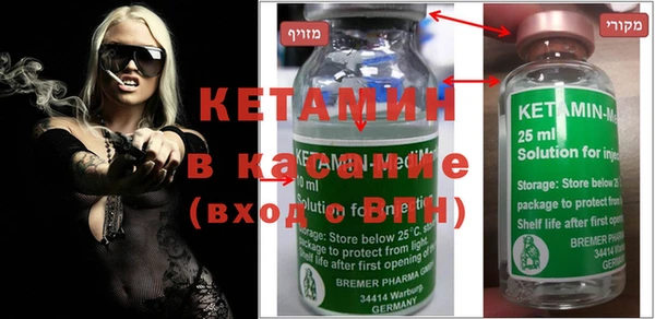 индика Гусь-Хрустальный