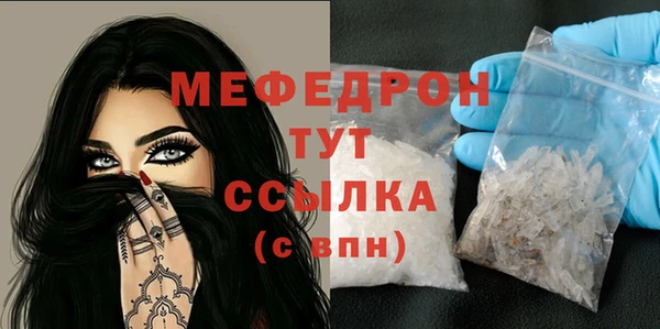 индика Гусь-Хрустальный