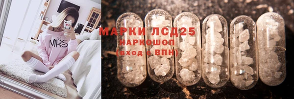 индика Гусь-Хрустальный