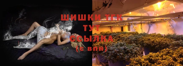 шишки Гусев