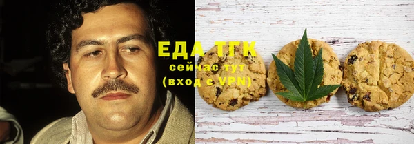 шишки Гусев