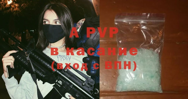 индика Гусь-Хрустальный