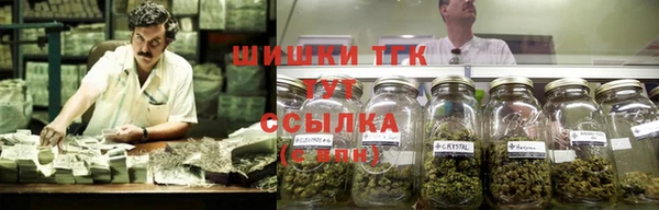 индика Гусь-Хрустальный