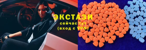 шишки Гусев