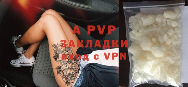 шишки Гусев