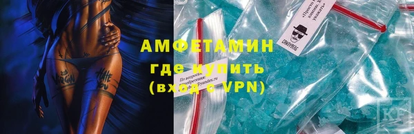 шишки Гусев
