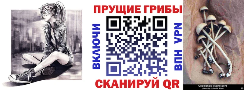 Галлюциногенные грибы мицелий  Купить закладки  Ржев 